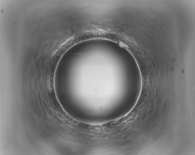 X0000060811205200511141457