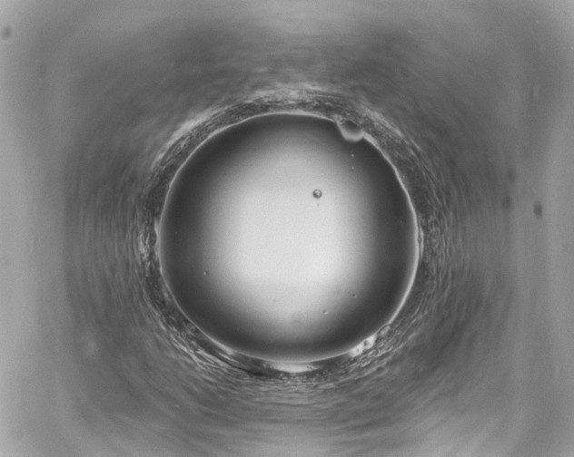 X0000060811206200511141457