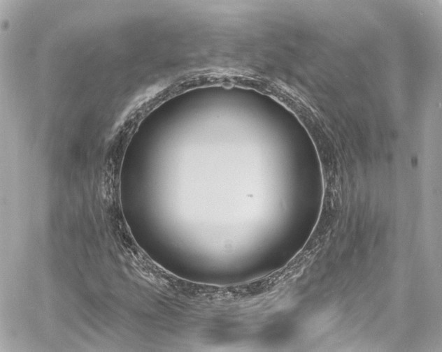 X0000060811207200511141457