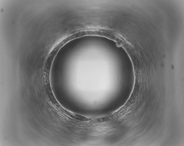 X0000060811208200511141457