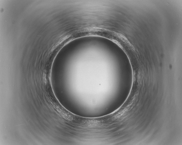 X0000060811209200511141457