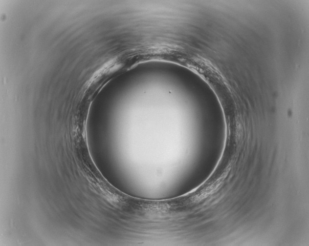 X0000060811210200511141457