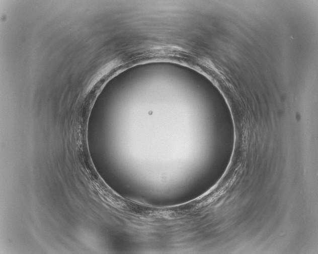 X0000060811211200511141457