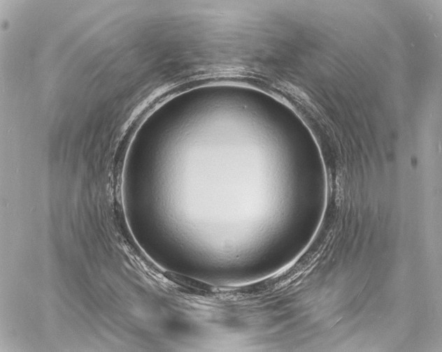 X0000060811212200511141457