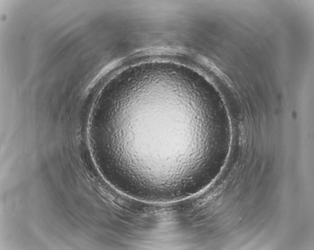 X0000060811213200511141457