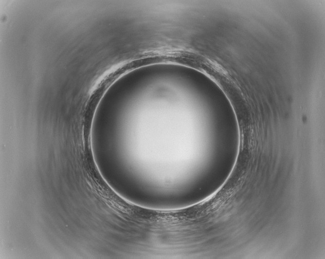 X0000060811214200511141457