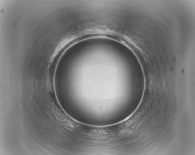 X0000060811215200511141457