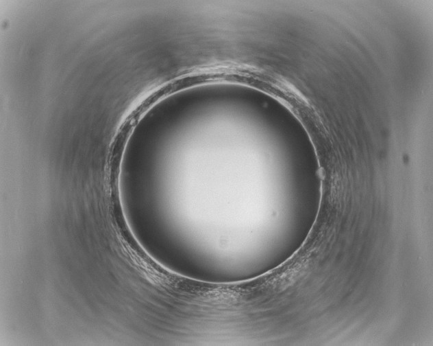 X0000060811216200511141457