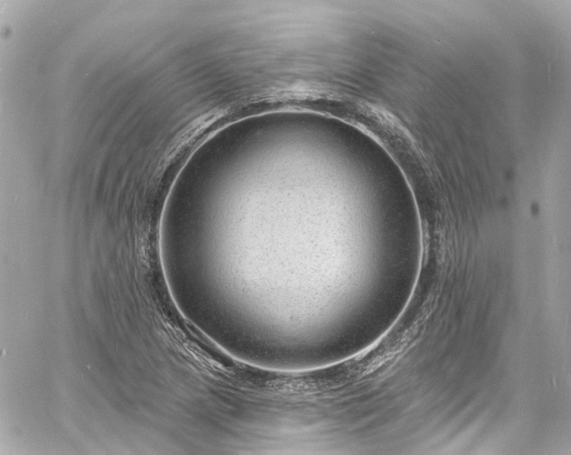 X0000060811217200511141457