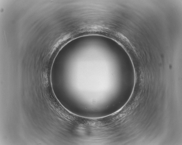 X0000060811218200511141457