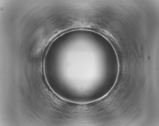 X0000060811220200511141457