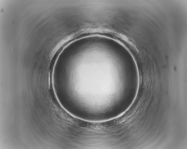 X0000060811221200511141457