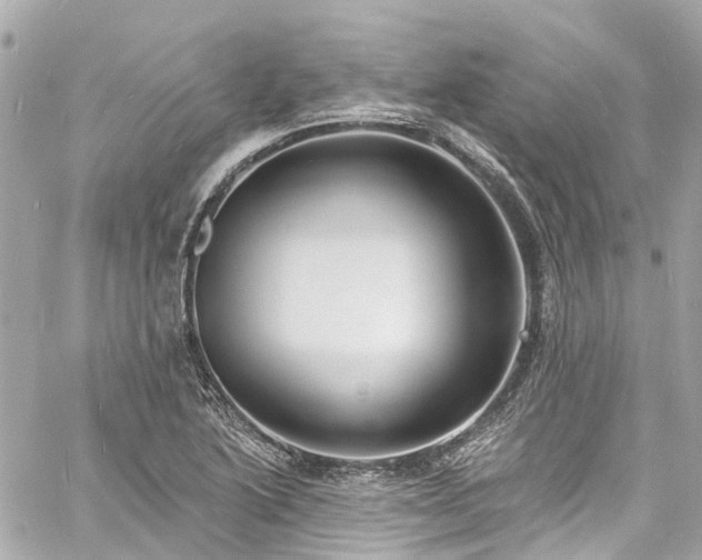 X0000060811222200511141457