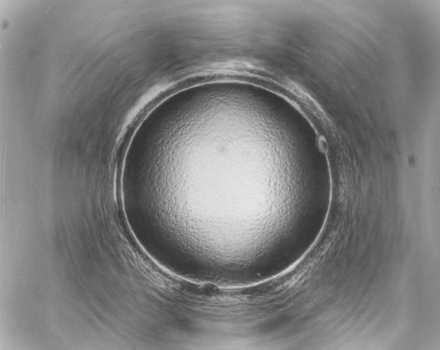 X0000060811224200511141457