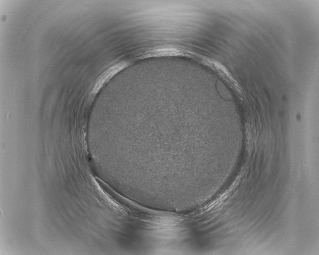 X0000060811225200511141457