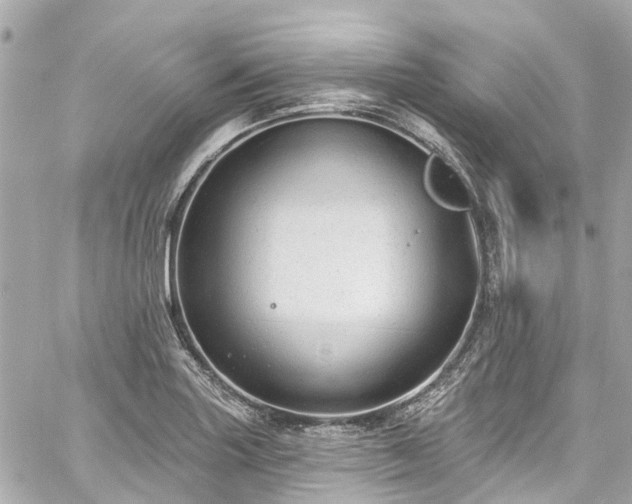 X0000060811227200511141457