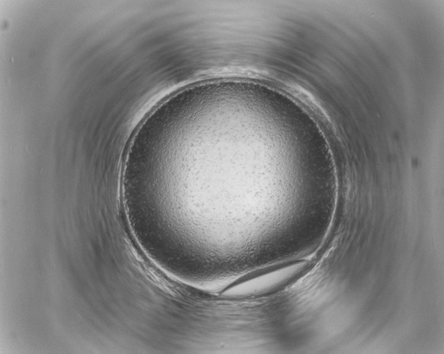 X0000060811228200511141457