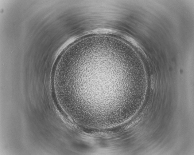 X0000060811229200511141457