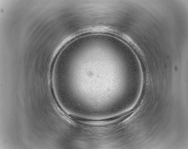 X0000060811232200511141458