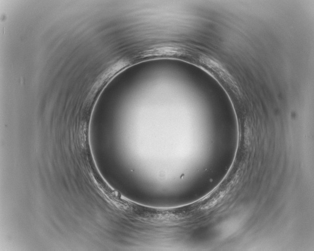 X0000060811233200511141458