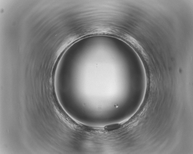 X0000060811234200511141458