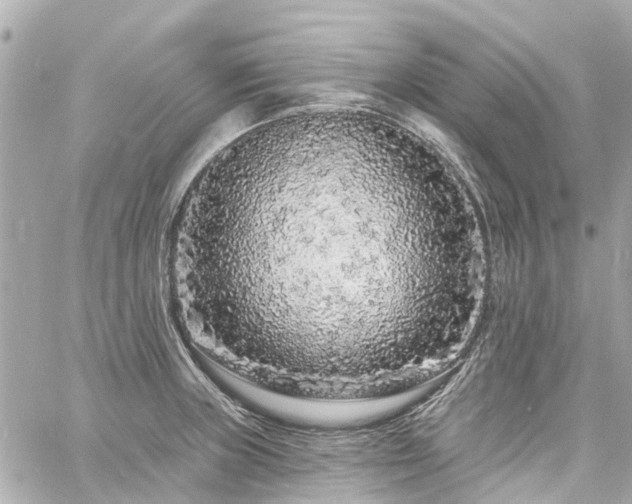 X0000060811235200511141458