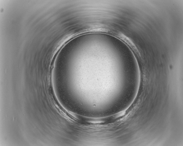 X0000060811236200511141458