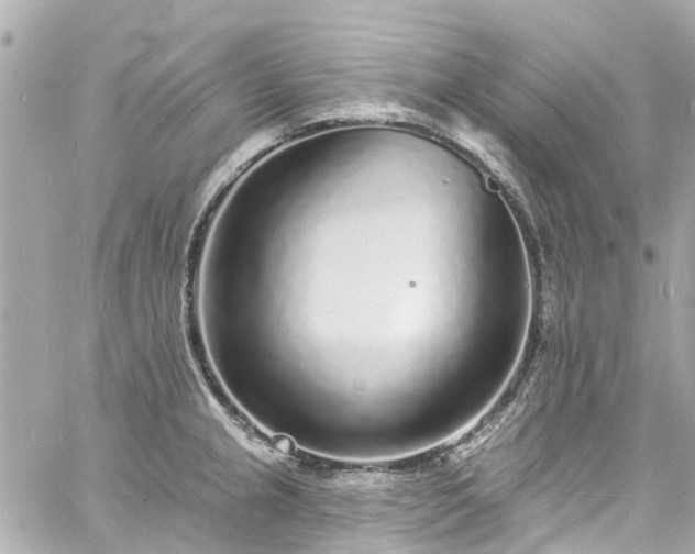 X0000060811237200511141458