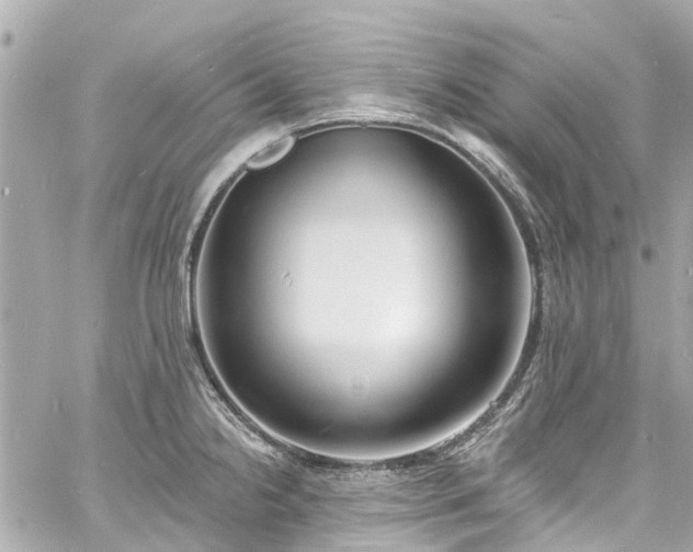 X0000060811238200511141458