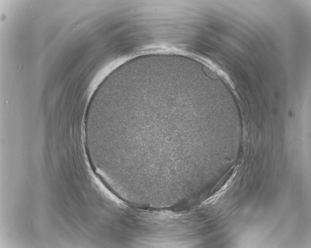 X0000060811239200511141458