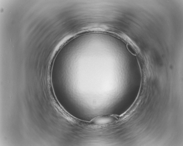 X0000060811240200511141458