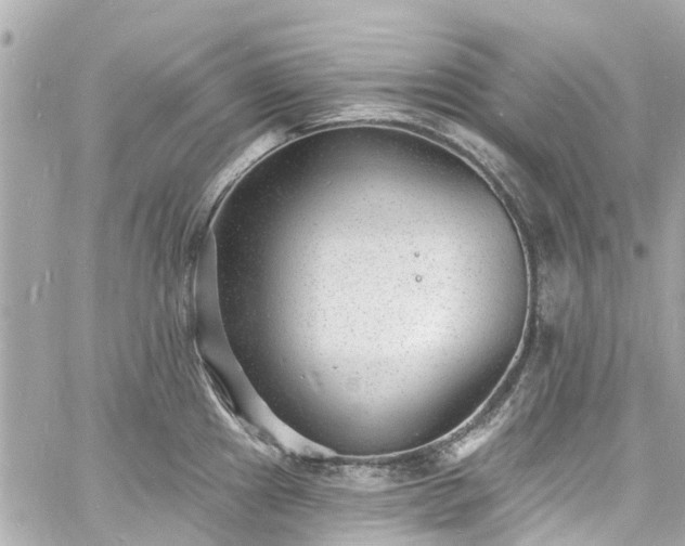 X0000060811241200511141458