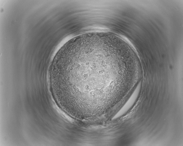 X0000060811243200511141458