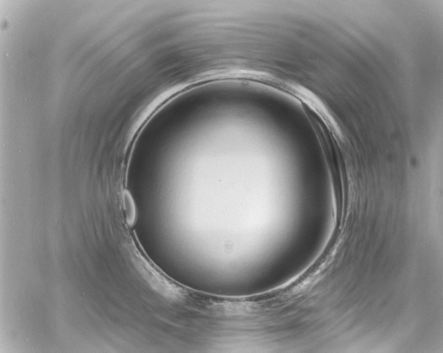 X0000060811244200511141458