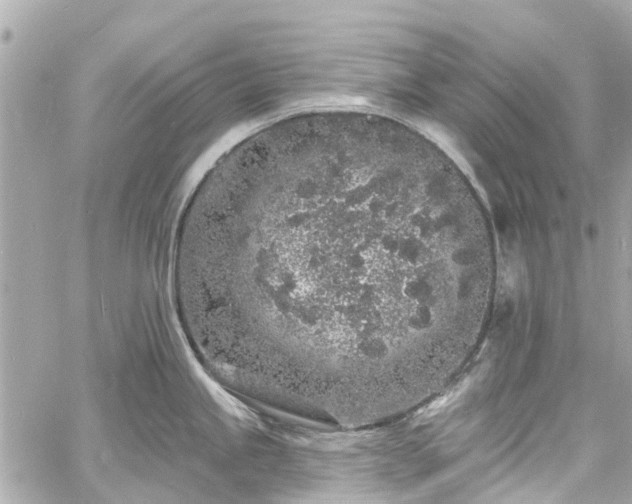 X0000060811245200511141458