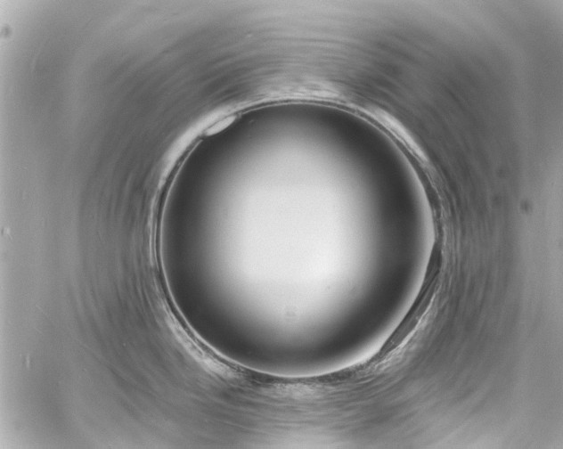 X0000060811246200511141458