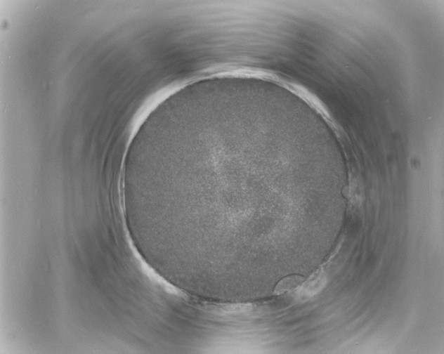 X0000060811247200511141458