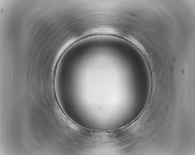 X0000060811248200511141458