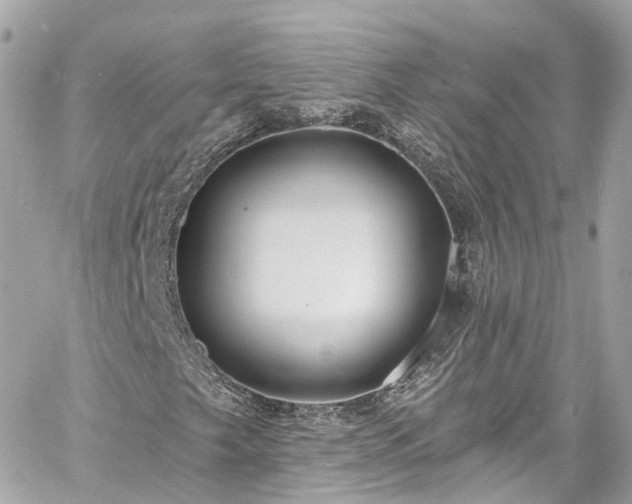 X0000060811249200511141457