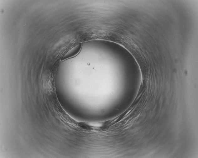 X0000060811250200511141457