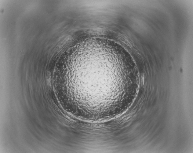 X0000060811251200511141457