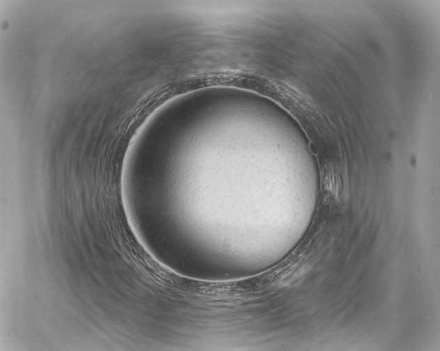 X0000060811252200511141457