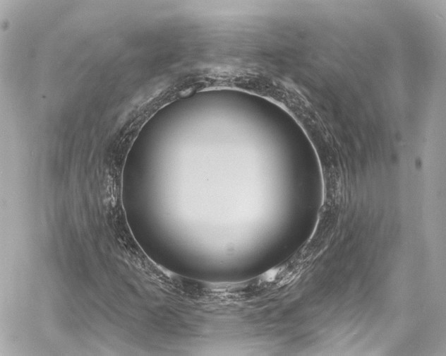 X0000060811253200511141457