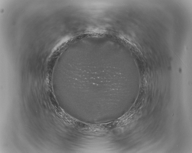 X0000060811254200511141457