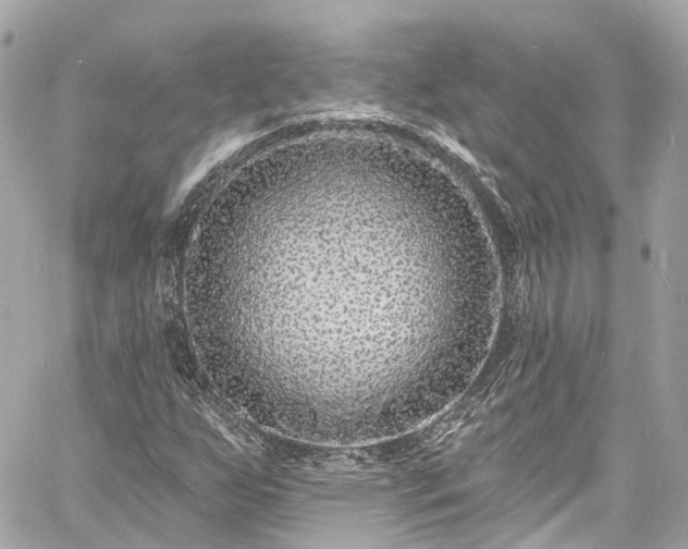 X0000060811255200511141457