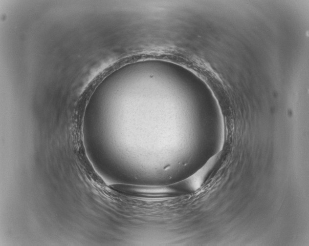 X0000060811256200511141457