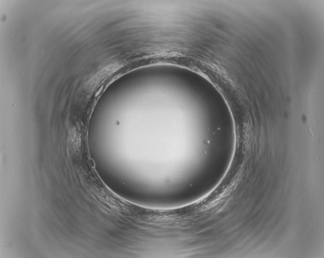 X0000060811257200511141457