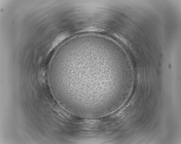 X0000060811258200511141457