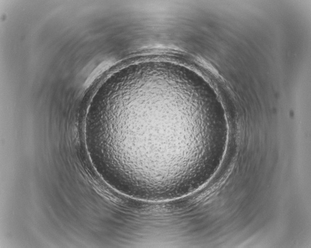 X0000060811259200511141457