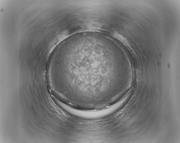 X0000060811260200511141457